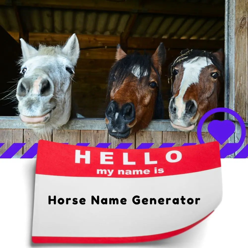Horse Name Generator
