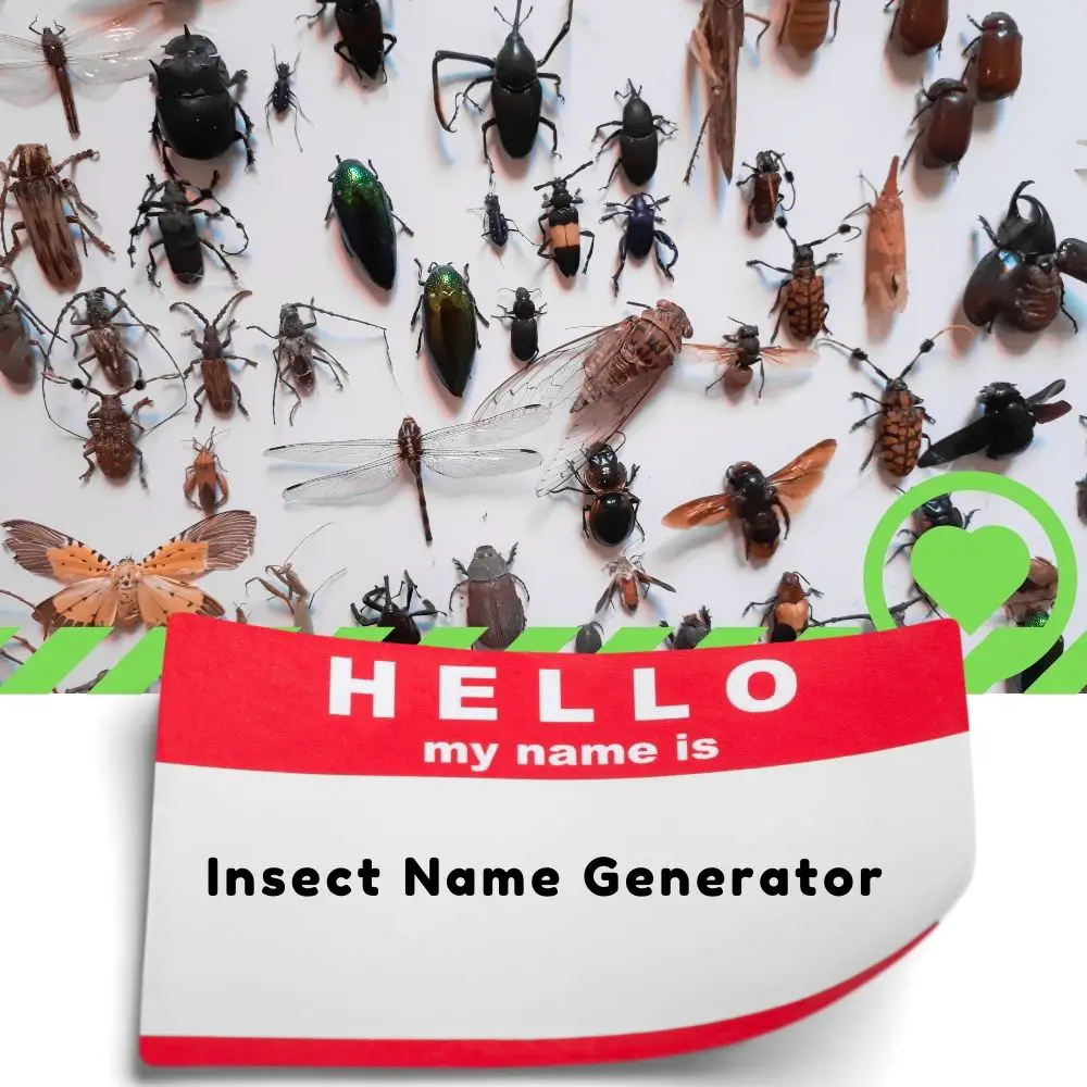 Pet Insect Name Generator