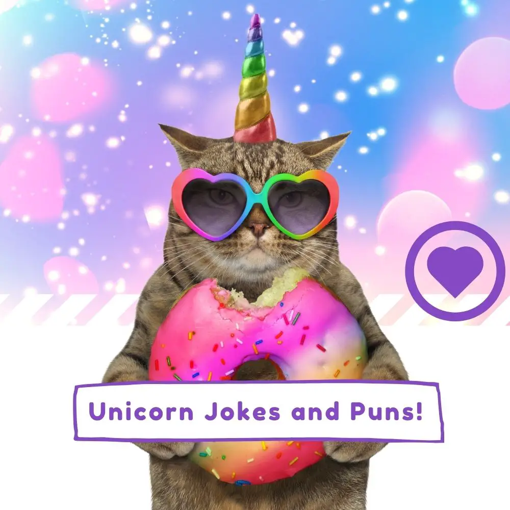 Unicorn Jokes and Puns (2024) I Love IT