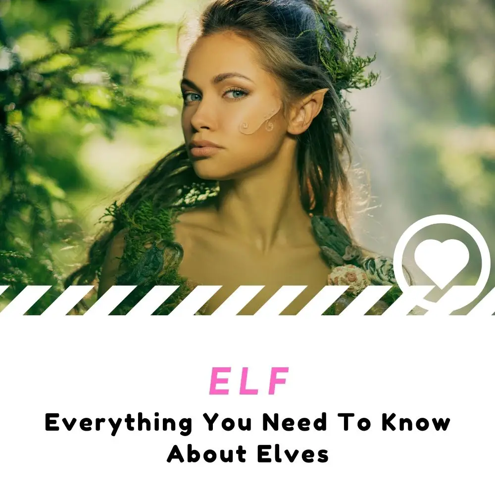 Elves: 101 [The Beginner’s Guide] - I Love IT