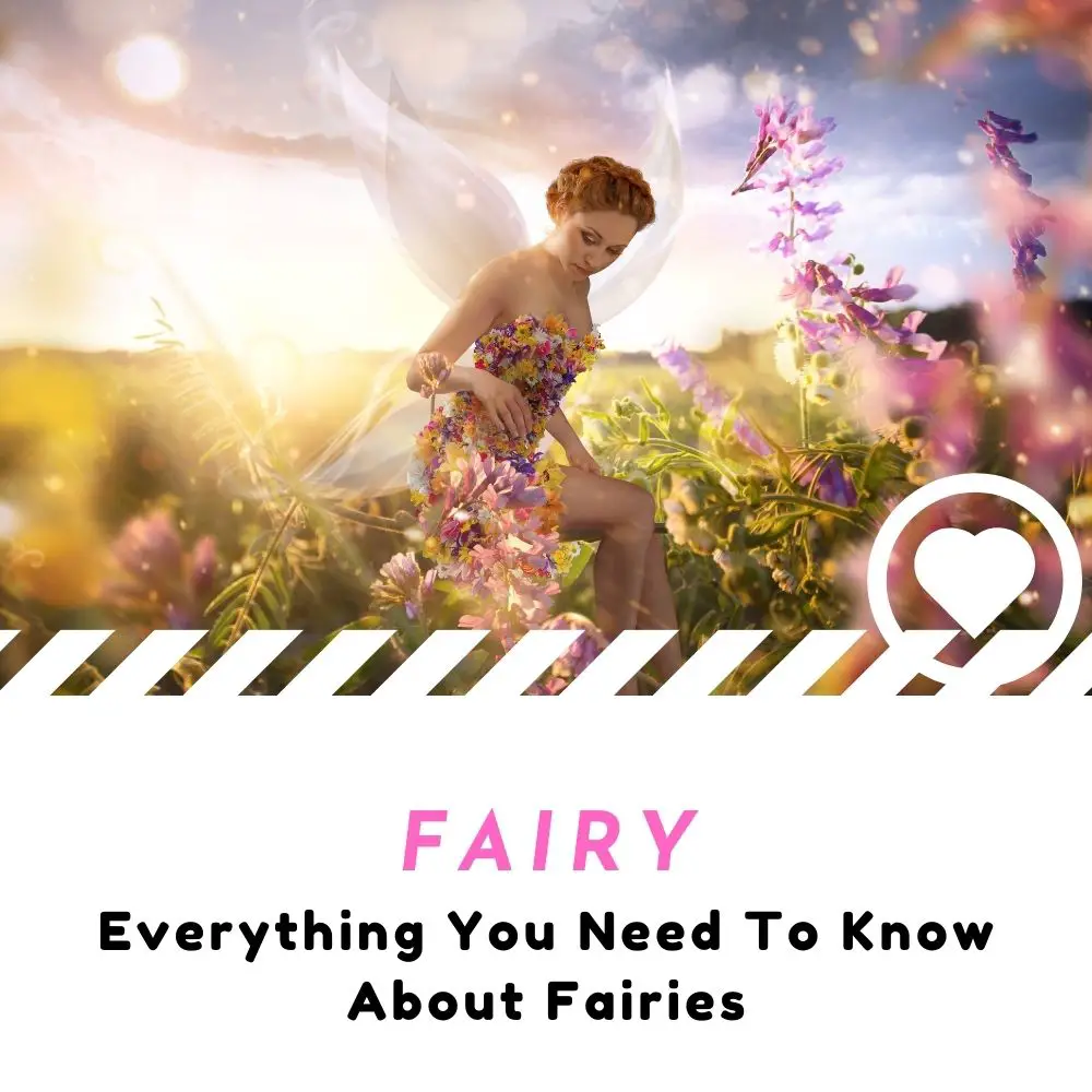 Fairies 101 [The Beginner’s Guide] I Love IT