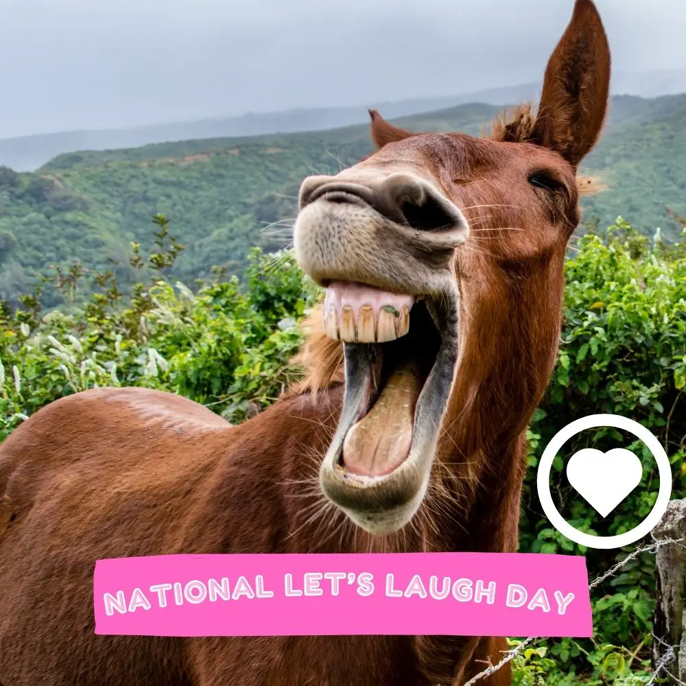 National Let's Laugh Day (2025) I Love IT