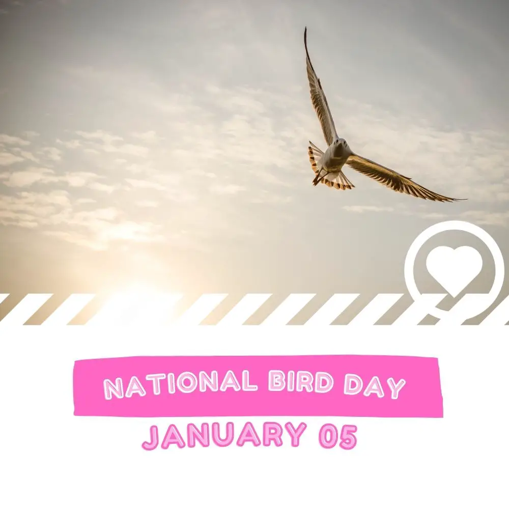 National Bird Day (2025) I Love IT