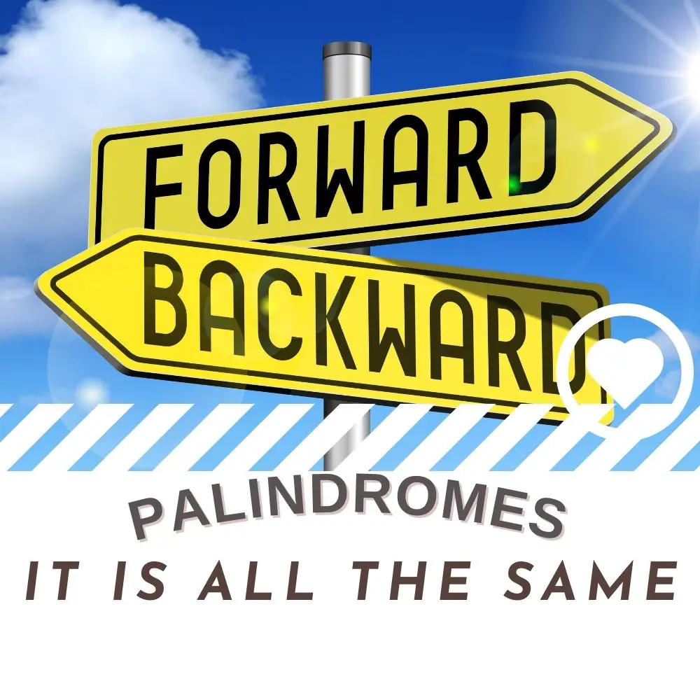 Palindromes (2024) I Love IT