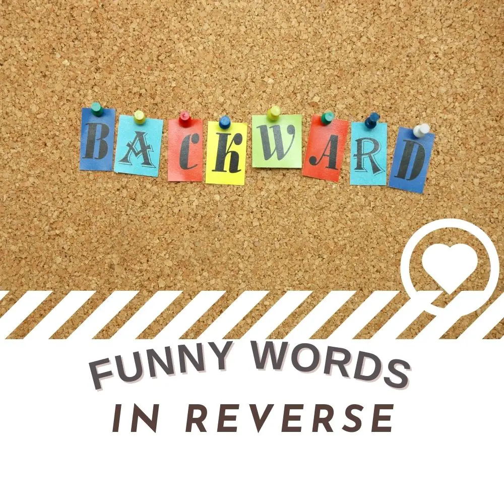 Funny, Backward and Reversed Words (2023) - I Love IT