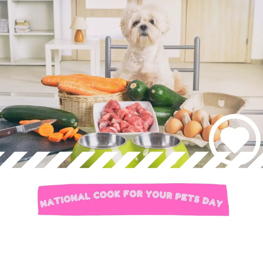 National Cook For Your Pets Day (2024) I Love IT