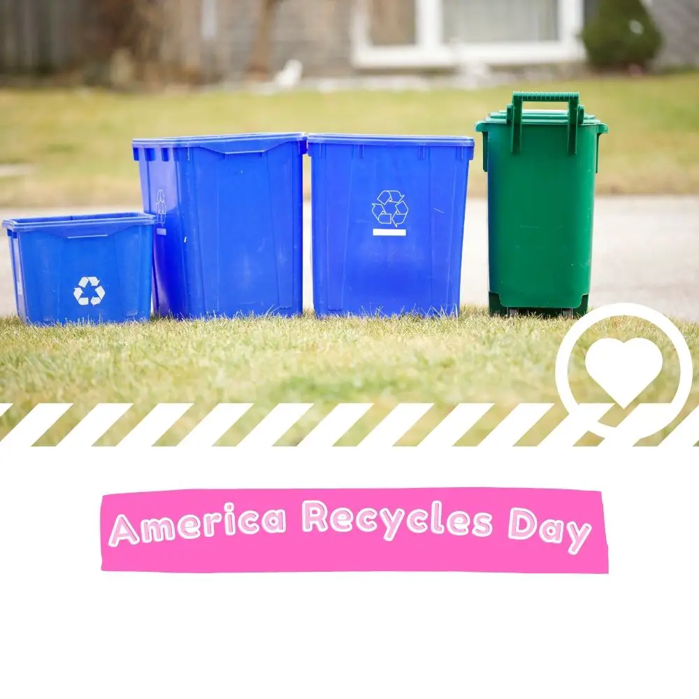 America Recycles Day (2024) I Love IT