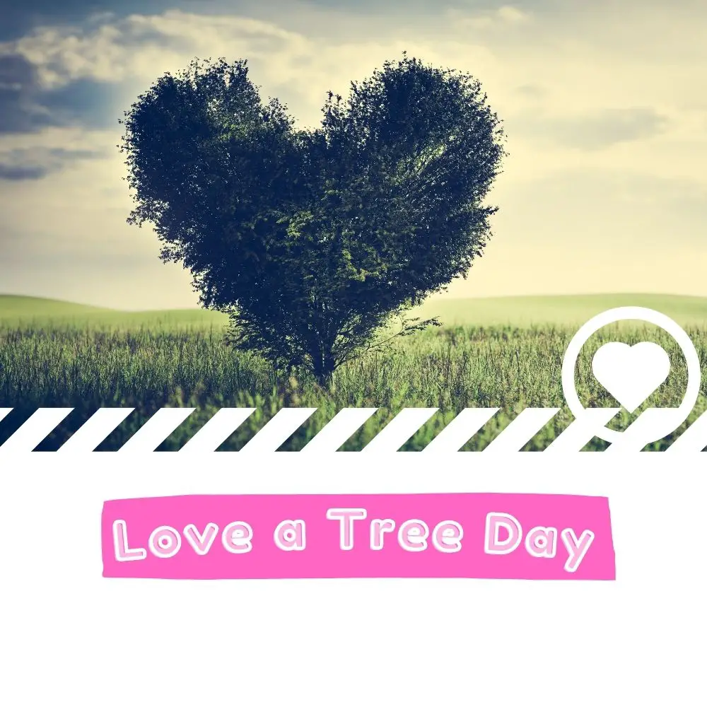 Love a Tree Day (2024) I Love IT