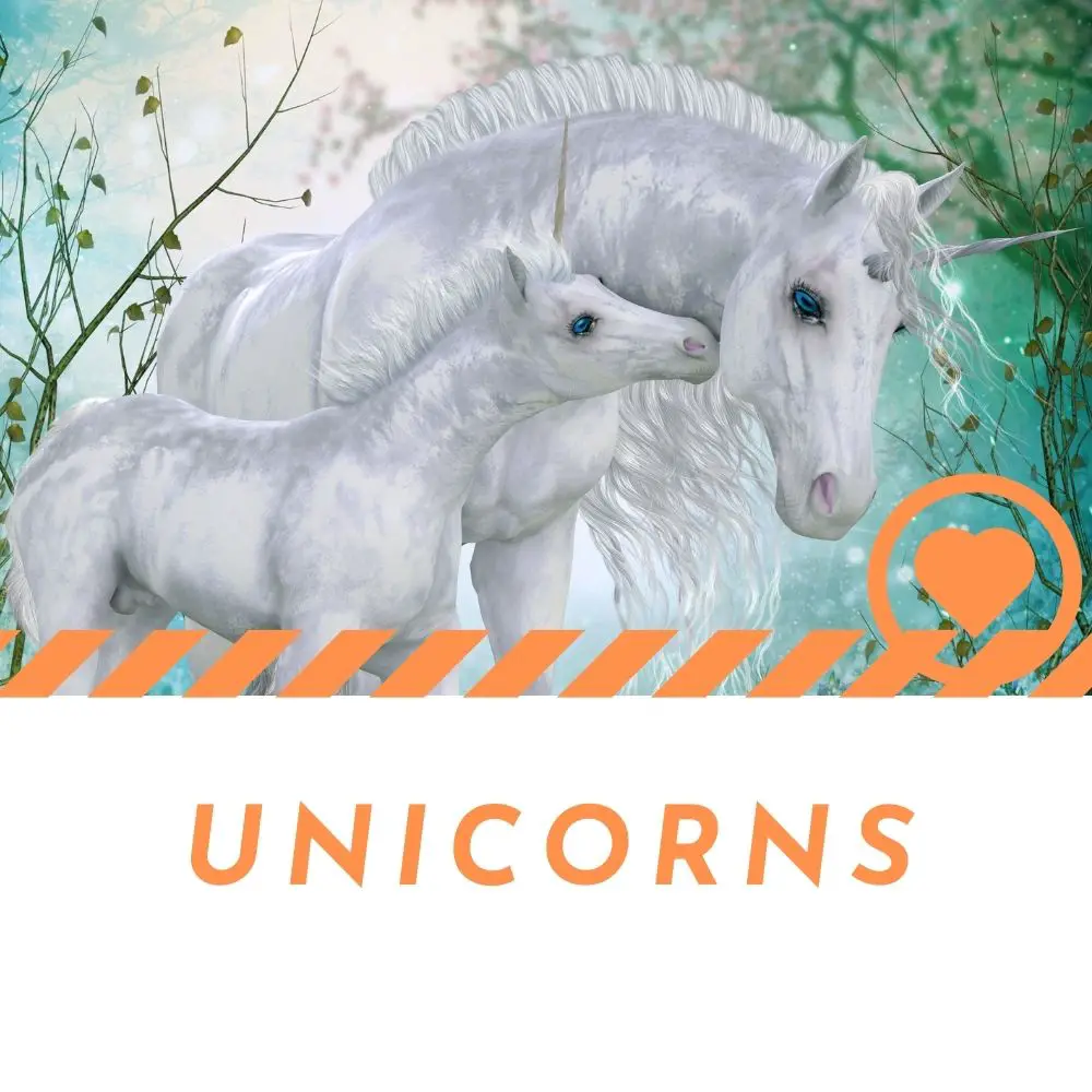 Unicorns 101 [The Beginner’s Guide] I Love IT