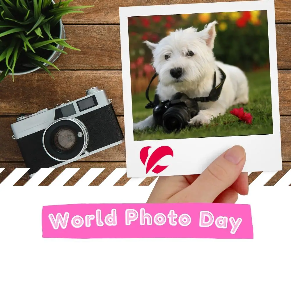 World Photo Day (2024) I Love IT