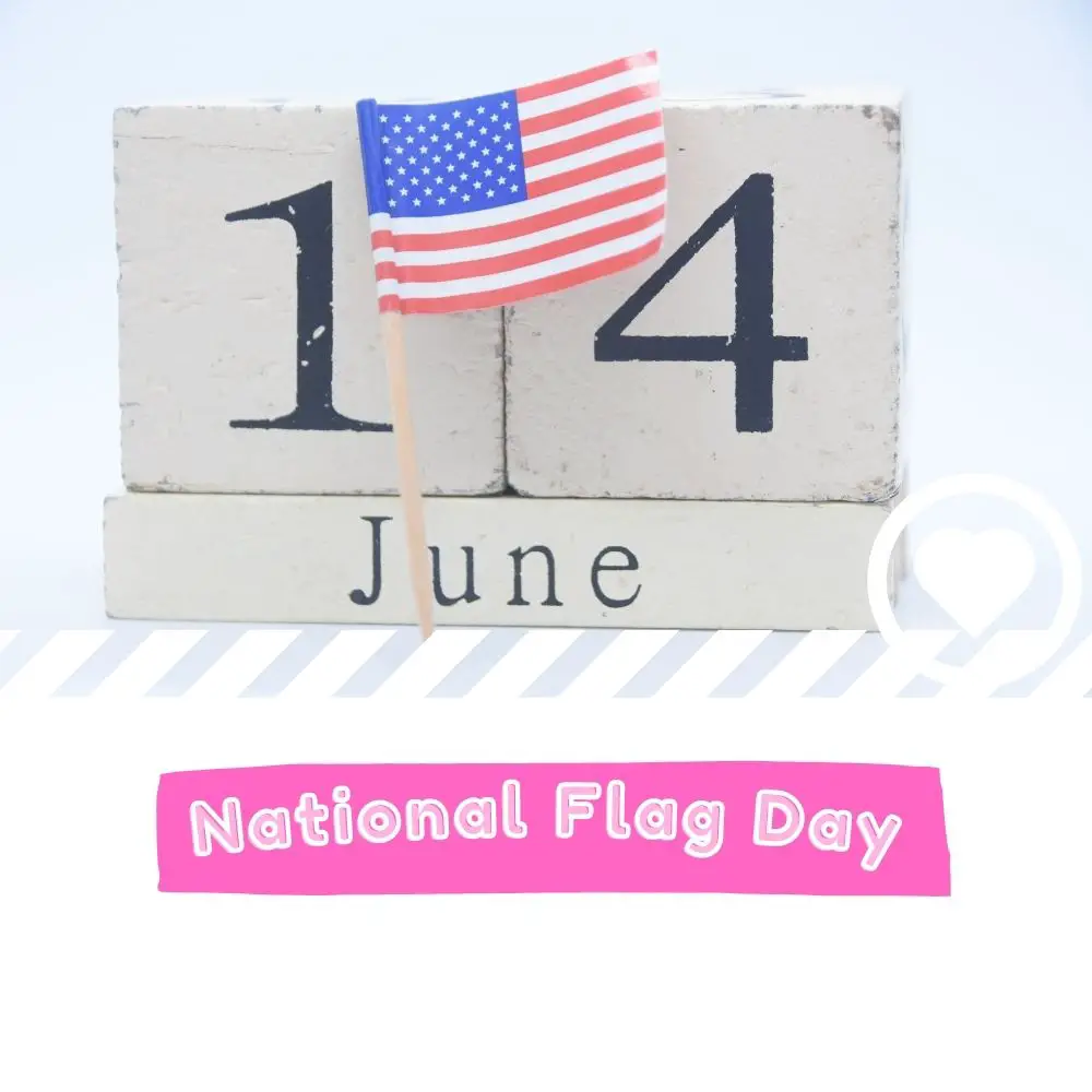 National Flag Day (2024) I Love IT