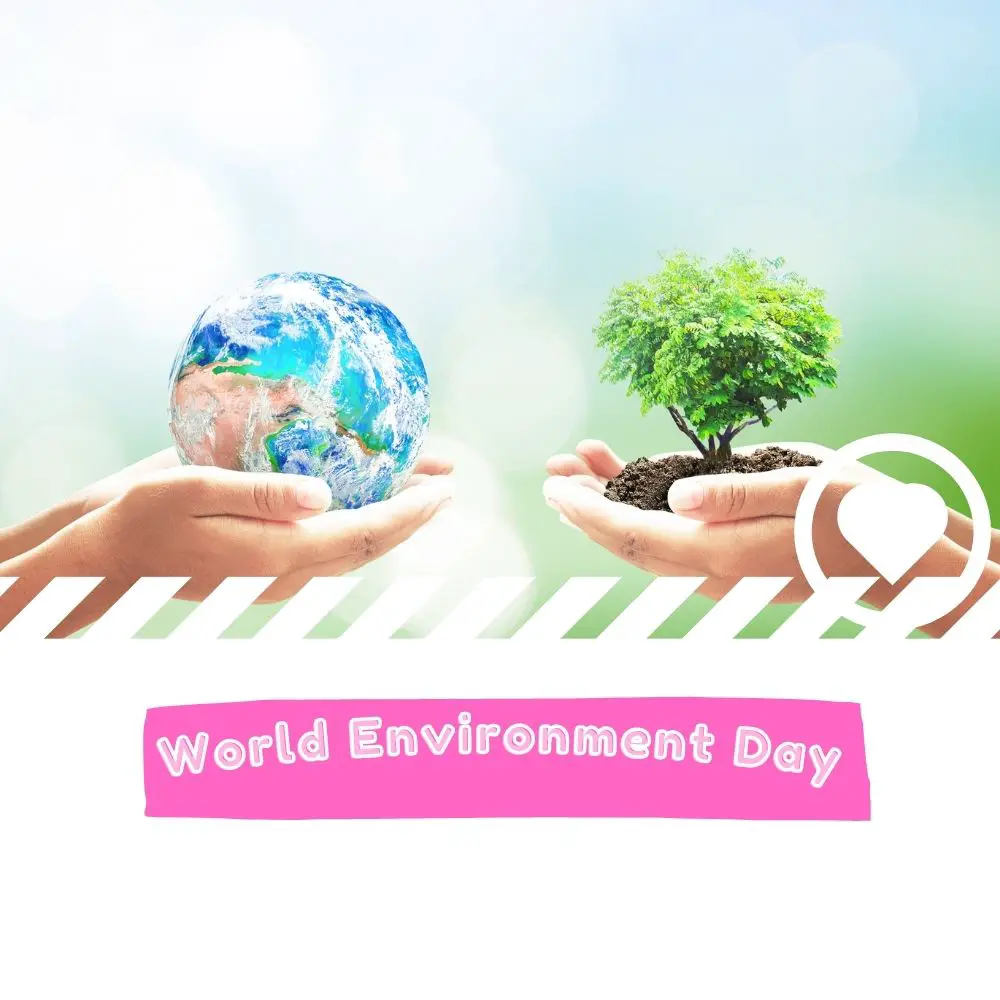World Environment Day (2024) I Love IT