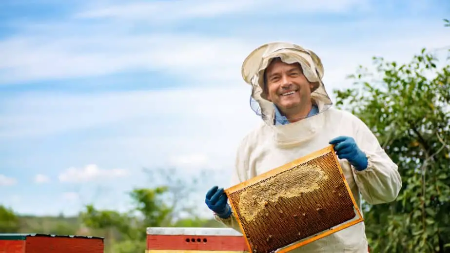 Apiary Beekeeping