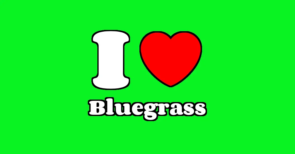 Bluegrass