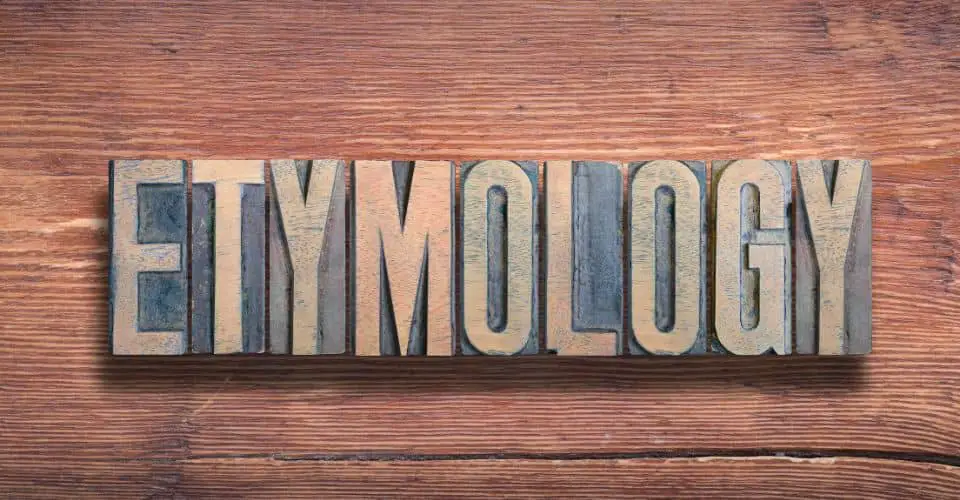 Etymology