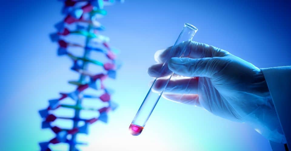 Genetics