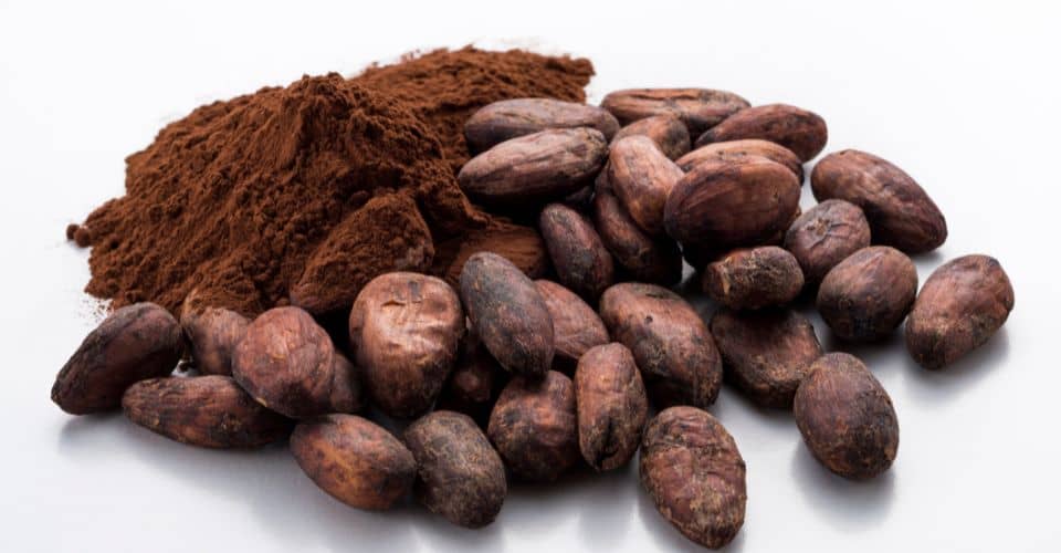 National Cocoa Day (2023) I Love IT