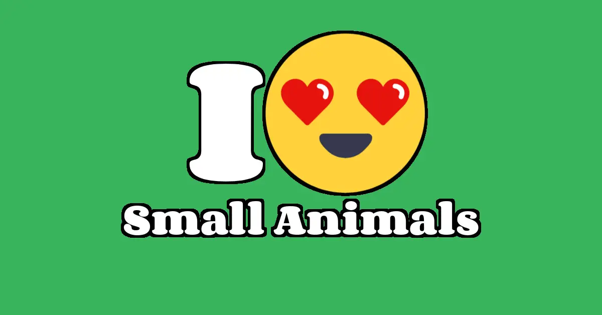 Small Animals