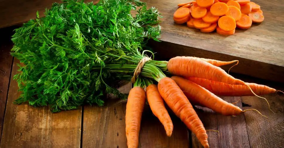 International Carrot Day (2024) I Love IT