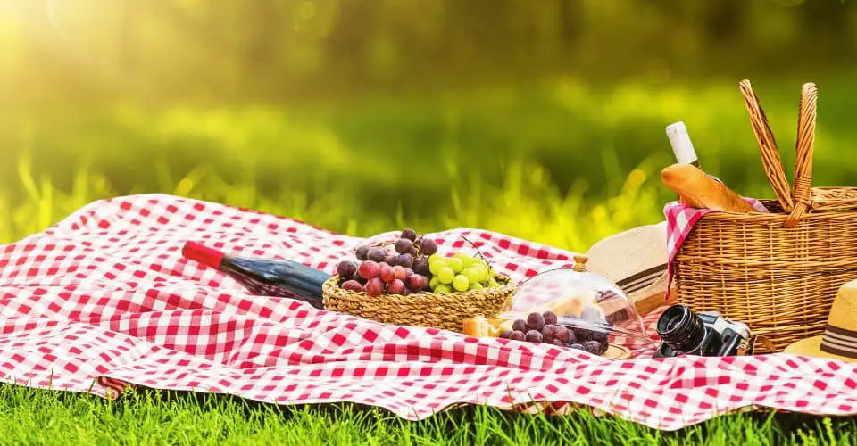 International Picnic Day (2024) I Love IT