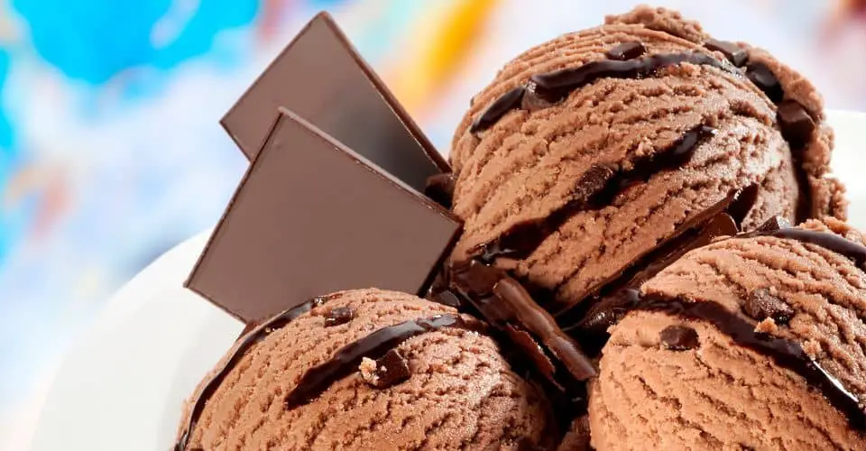 National Chocolate Ice Cream Day 2024 India Ermina Marieann